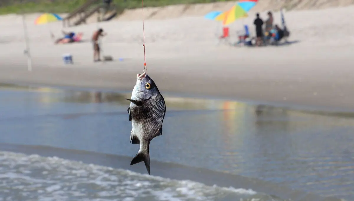 ChatGPT vulnerability exploits web summaries to inject phishing links and fake security alerts
