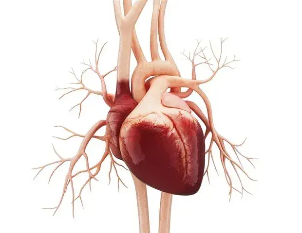 AI Model Detects Multiple Heart Failure Types from Routine ECGs, Including Hard-to-Identify HFpEF