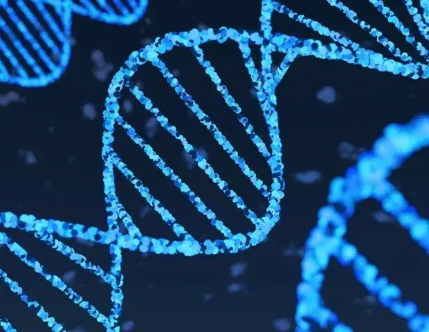 AI Model Decodes Hidden DNA Code Behind Gene Activation in 60% of Human Genes