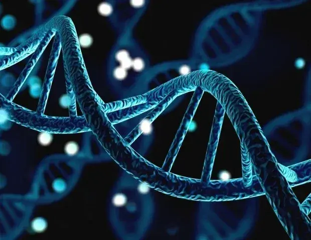 AI-MARRVEL and Genomics Uncover BRSK1 Gene Behind Rare Neurodevelopmental Disorder in 10 Patients