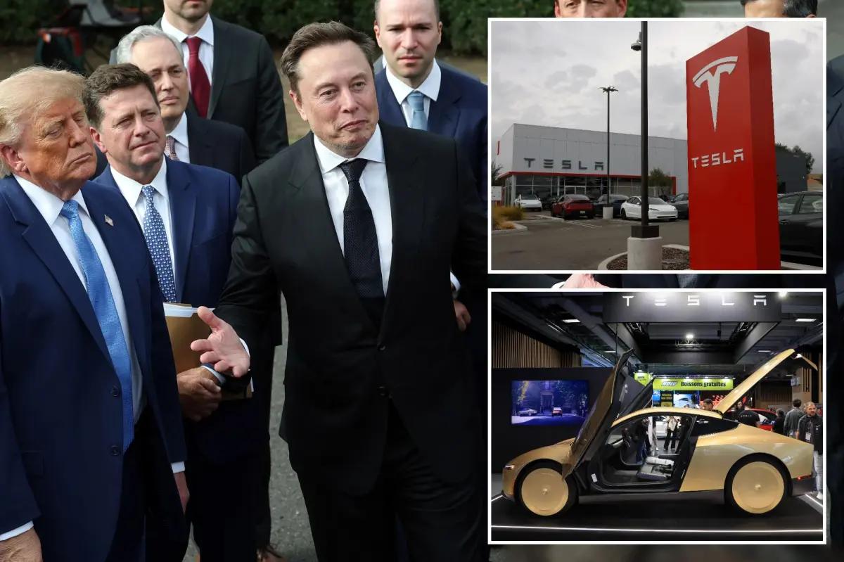 Tesla Q3 2024 Results Beat Estimates as Lower AI Spending Drives Surprise Positive Cash Flow