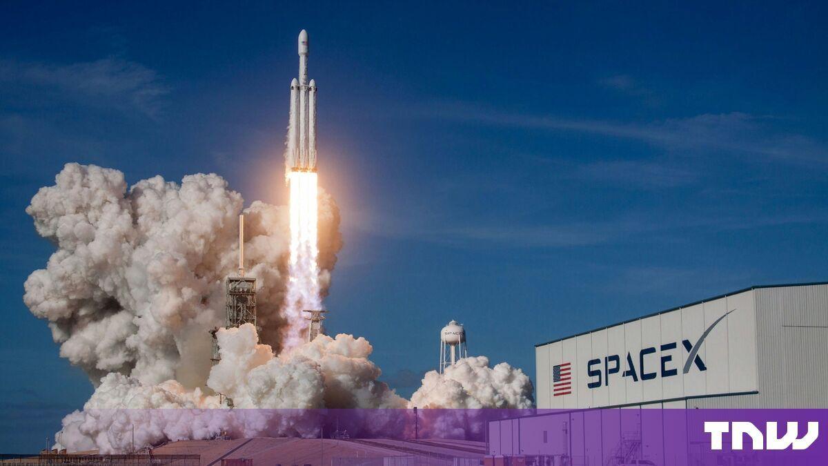 SpaceX Launches Super Intelligence Partner Network With Nvidia, Apollo to Expand Grok AI Adoption