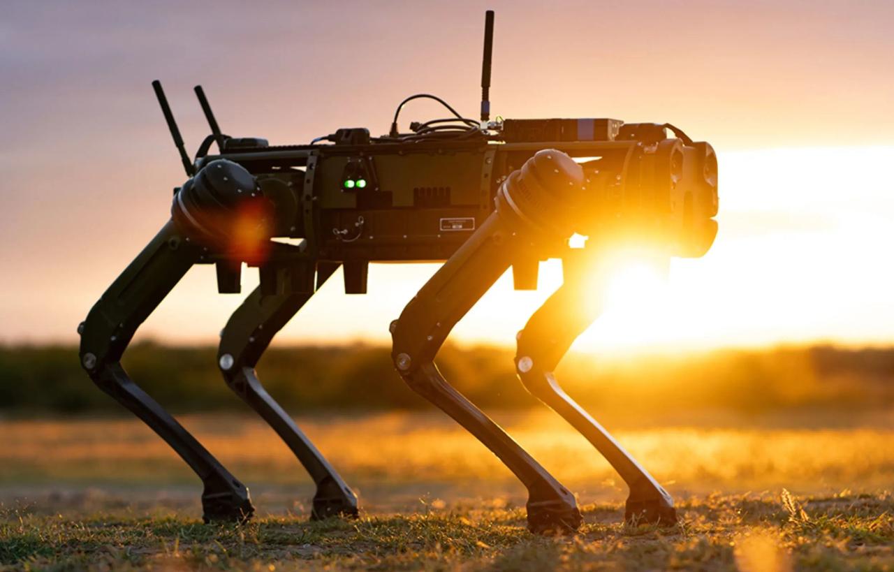 San Francisco Startup Pays $20 an Hour for Humans to Walk Robot Dogs and Train AI Systems